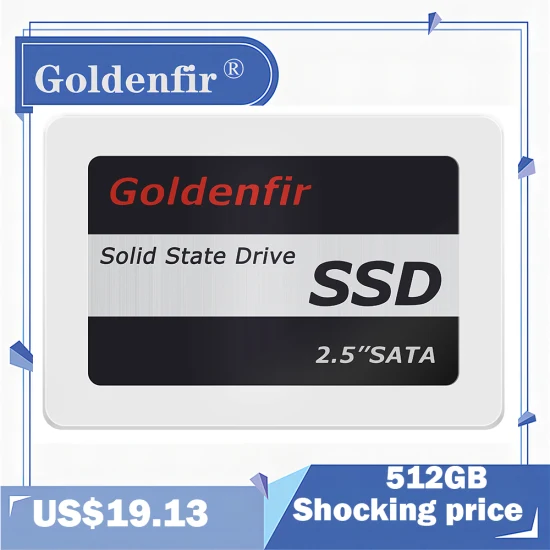 Goldenfir 2.5'' SSD 240GB 内蔵ソリッド ステート ディスク
